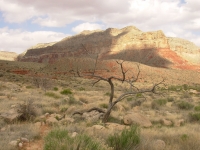 A hike in the Canyon